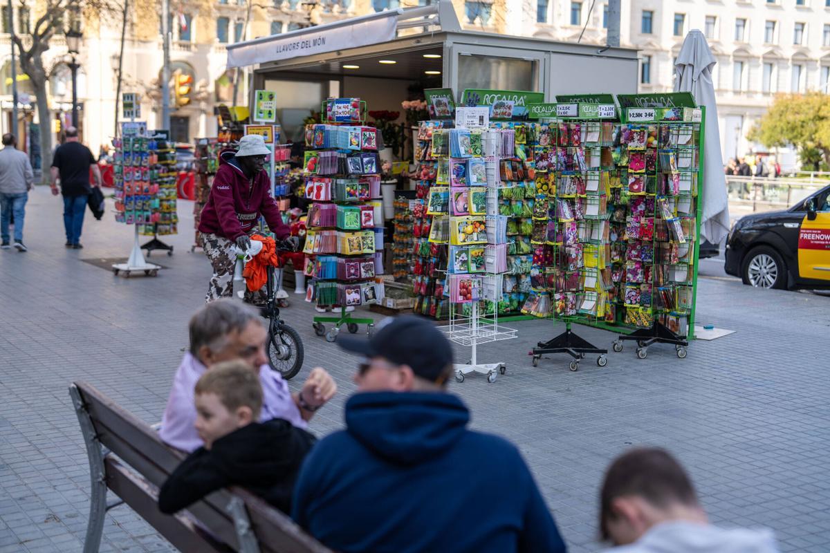 Barcelona. Sociedad. 24/03/2026 Floristerias reubicadas en plaza catalunya debido a las obras en la Rambla. FOTO de ZOWY VOETEN