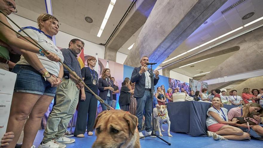 Tenerife’s Animal Welfare Fair Attracts Over 5,200 Attendees in Santa Cruz