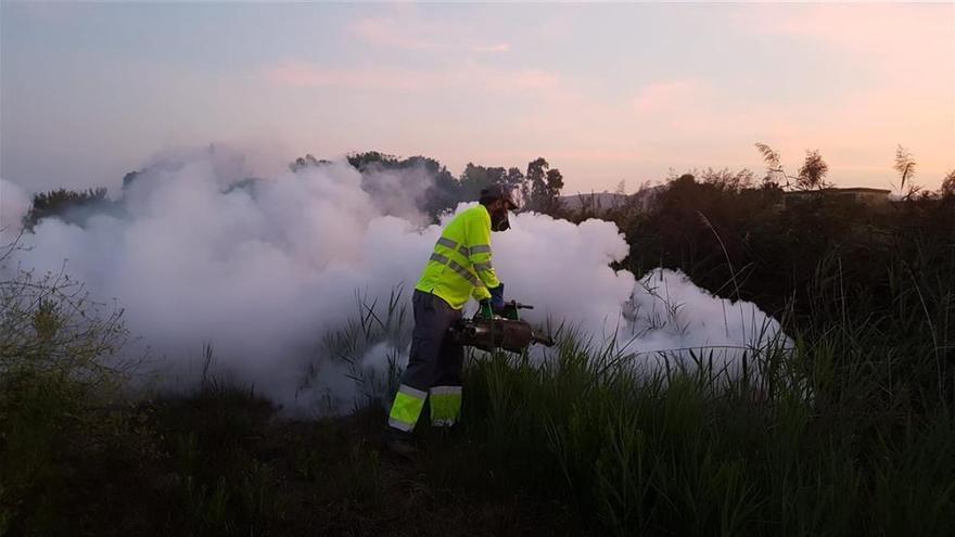 Hartos de los mosquitos... y sin soluciones