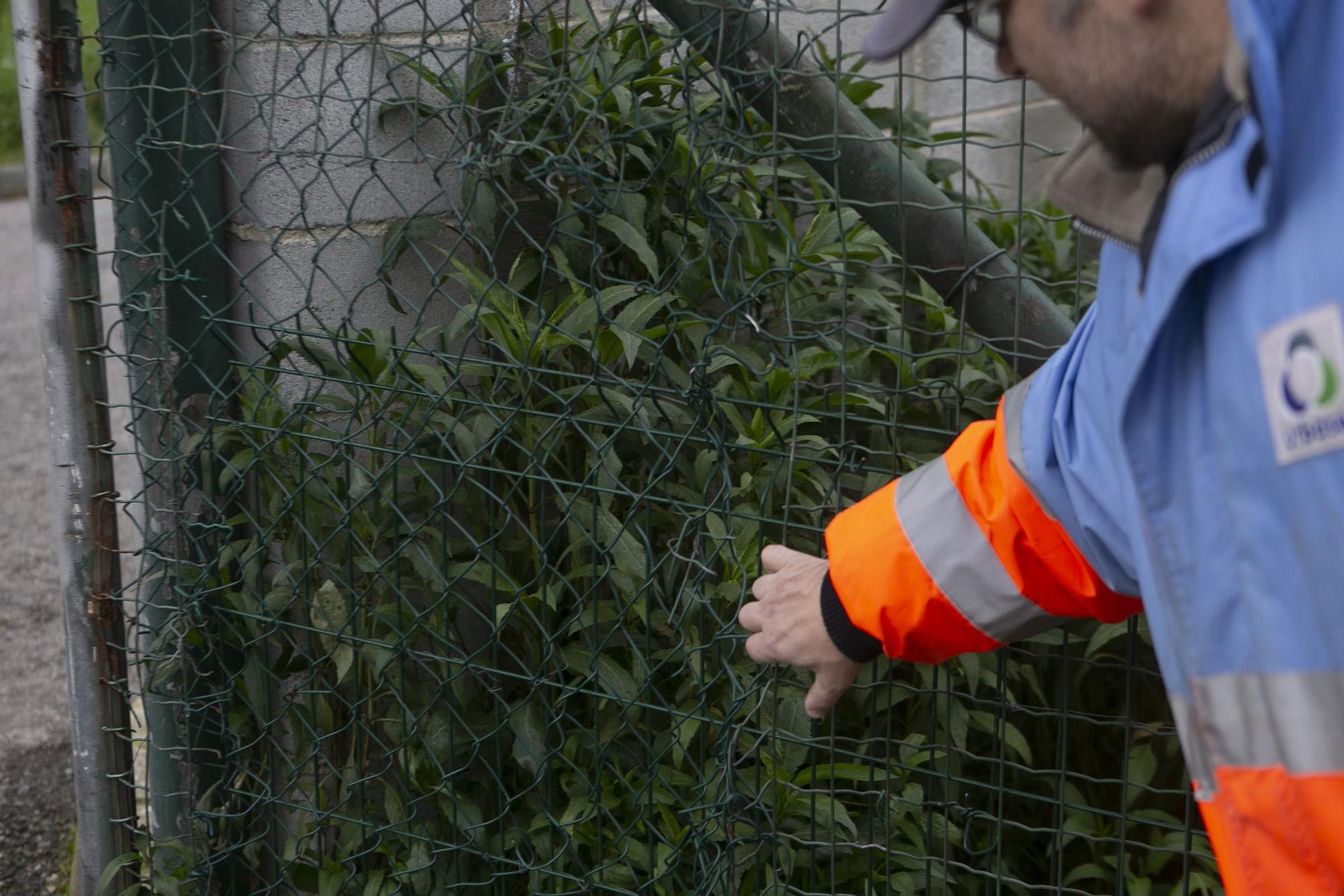 Los puntos limpios, pastos del abandono
