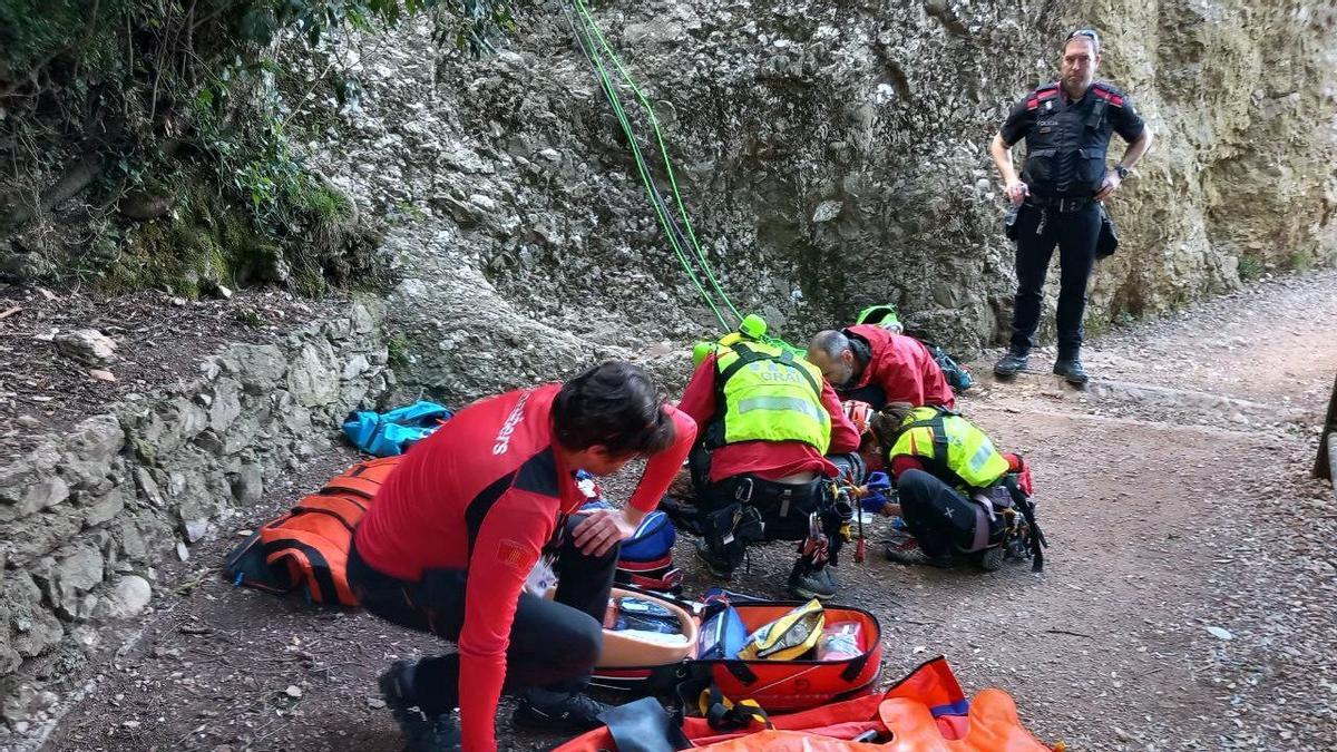 Un ferit greu al caure d’un arbre al pantà de Susqueda