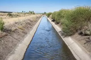 ¿Habrá agua para tanto regadío?