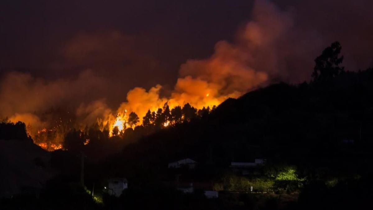 zentauroepp49485879 flames and smoke from a forest fire are seen in the village 190819092102