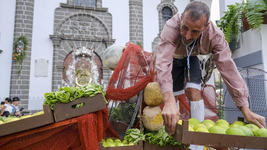 Ofrenda romería a Nuestra Señora del Pino 2024 (4)