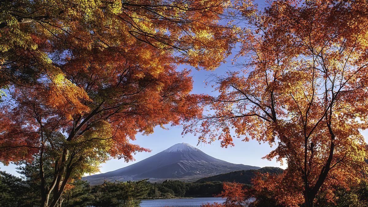 Dónde vivir el momiji, el espectáculo del otoño en Japón