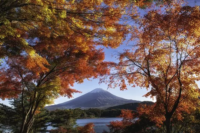 Dónde vivir el momiji, el espectáculo del otoño en Japón