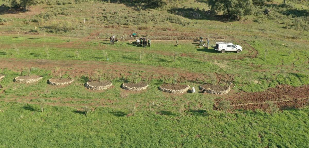Vista aérea de la parcela experimental.