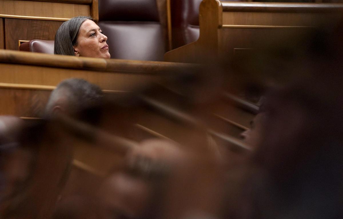 Comparecencia de Pedro Sánchez en el Congreso de los Diputados.