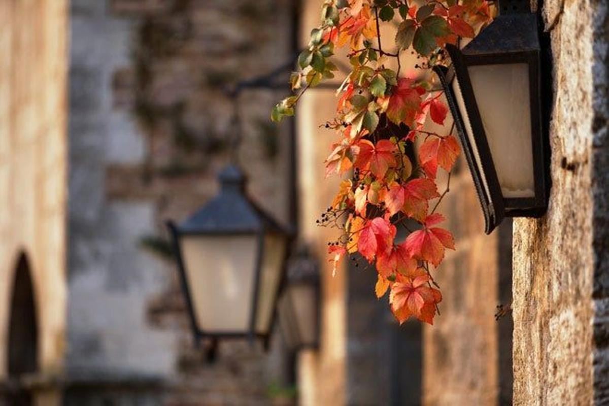 Detalles florales en las farolas de San Gimignano.