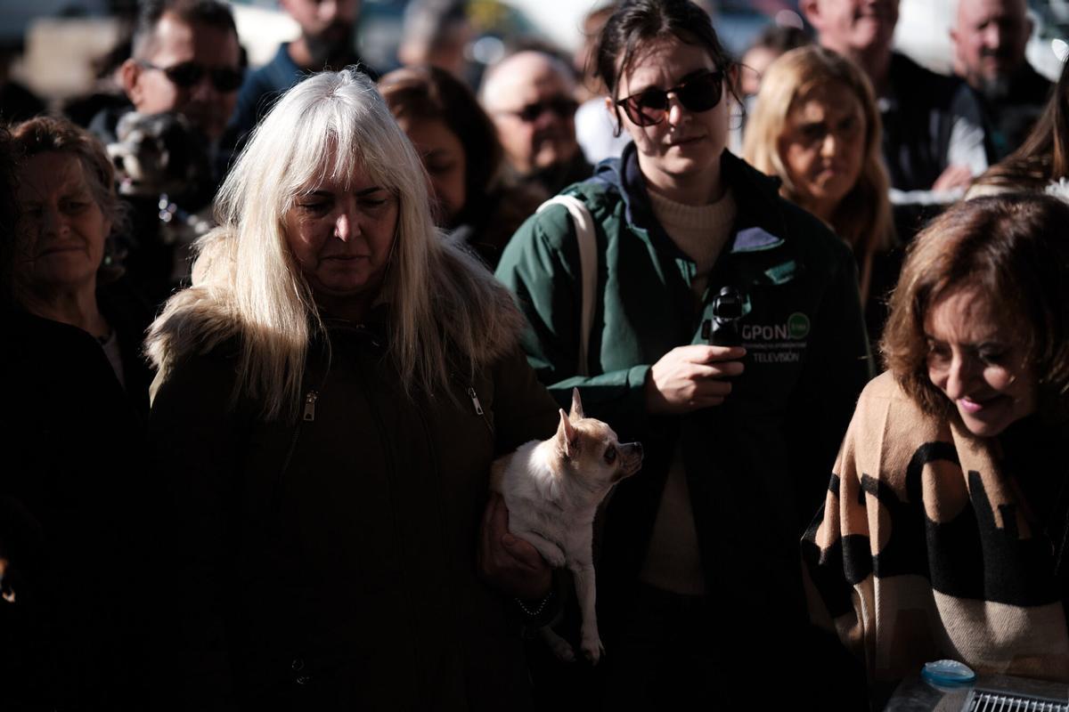 Churriana celebra la bendición de San Antón Churriana celebra la bendición de San Antón