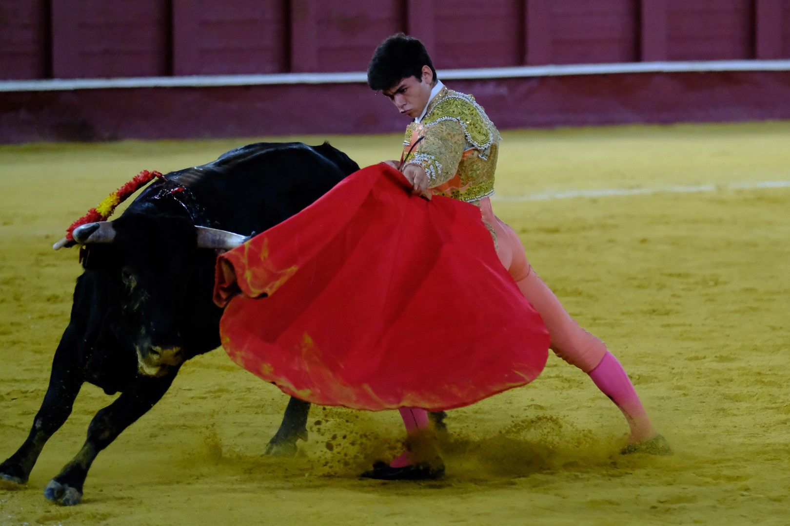 XVI Certamen Internacional de Escuelas Taurinas La Malagueta