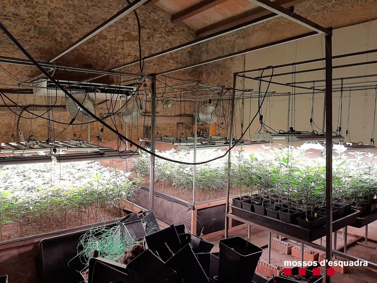 Detenen dos homes per tenir un laboratori per processar marihuana en una masia de Castellolí