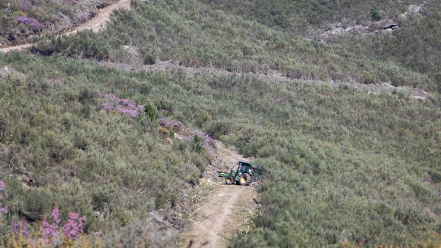 Las labores de prevención suman 14 km de pistas mejoradas y 4 hectáreas de cortafuegos en Cualedro