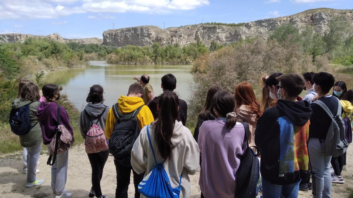Los escolares frente al río Ebro a su paso por el paraje natural de la ciudad de Zaragoza.
