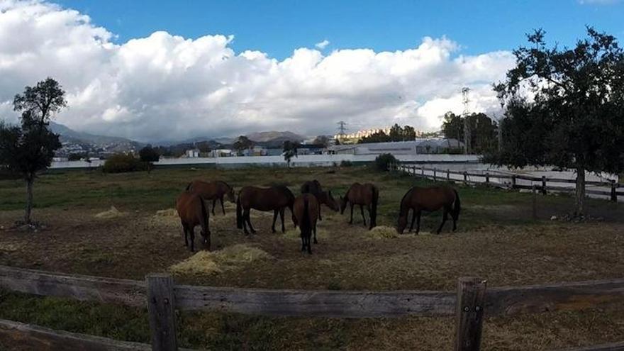 Imagen de la finca sampedreña de La Caridad, que fue propiedad de Roca.