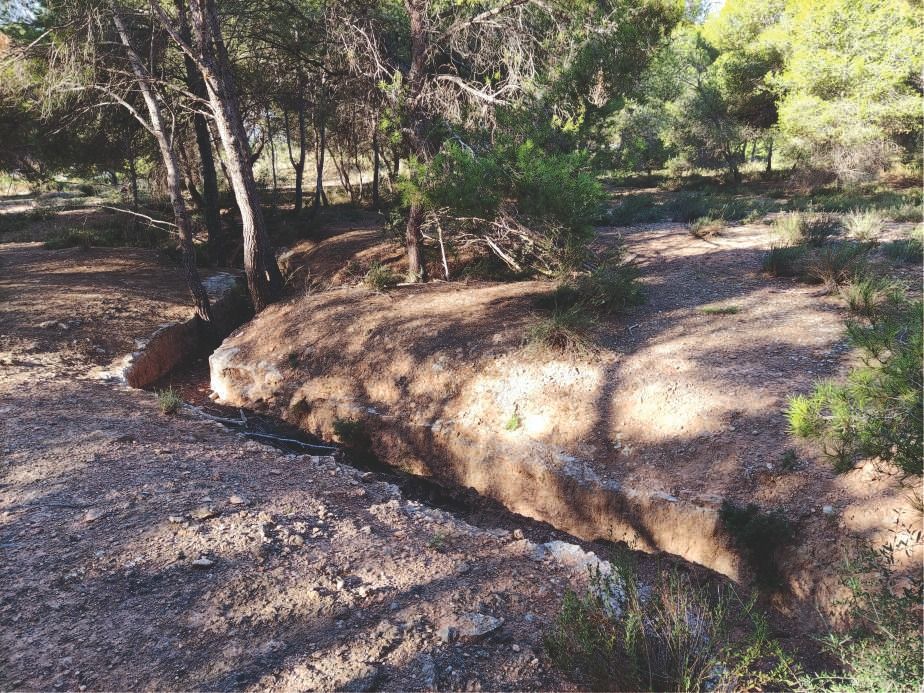 Ruta por los vestigios de la Guerra Civil en la línea Puig-Carasols