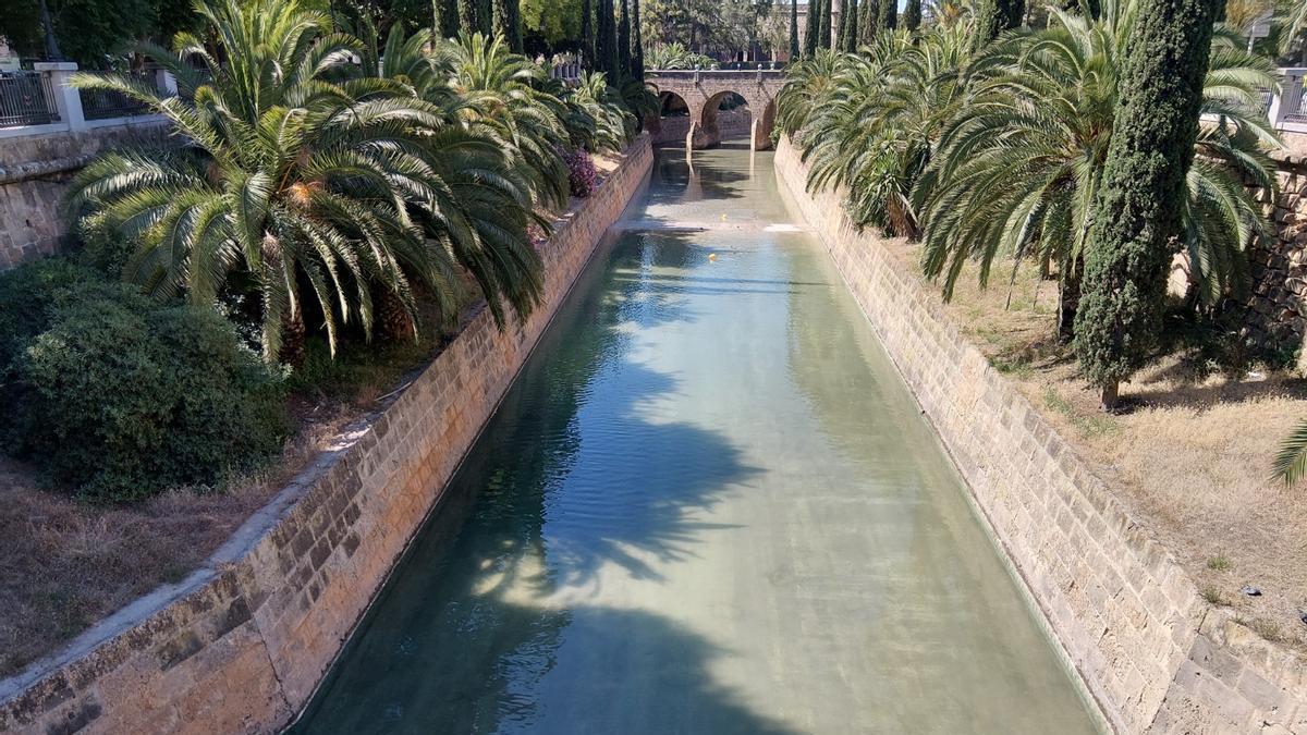 Emaya concluye los trabajos de limpieza integral y acondicionamiento en el cauce del torrente de sa Riera.