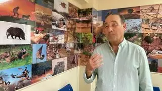 La Unión Pontanense de Caza abatirá 3.000 palomas en Puente Genil