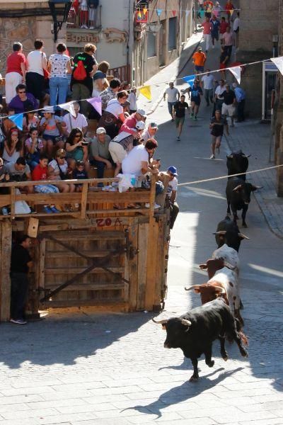 Fiestas en Zamora: Último encierro en Fermoselle