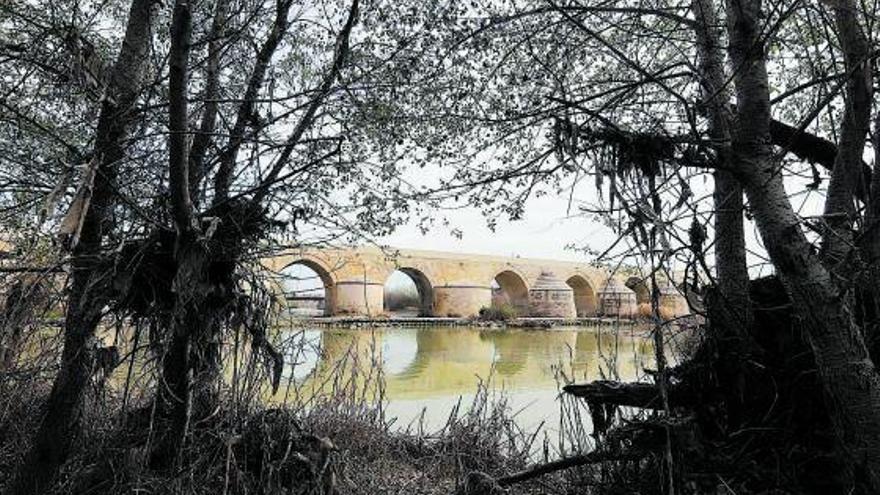 Historia y naturaleza: Córdoba conjuga elementos patrimoniales y naturales.