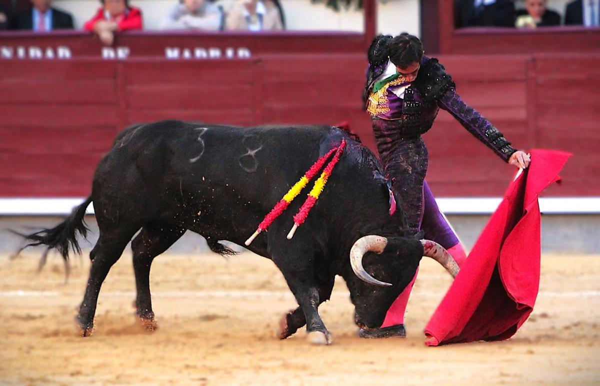 Hondísimo natural de Saúl Jiménez Fortes ayer, día de San Isidro.