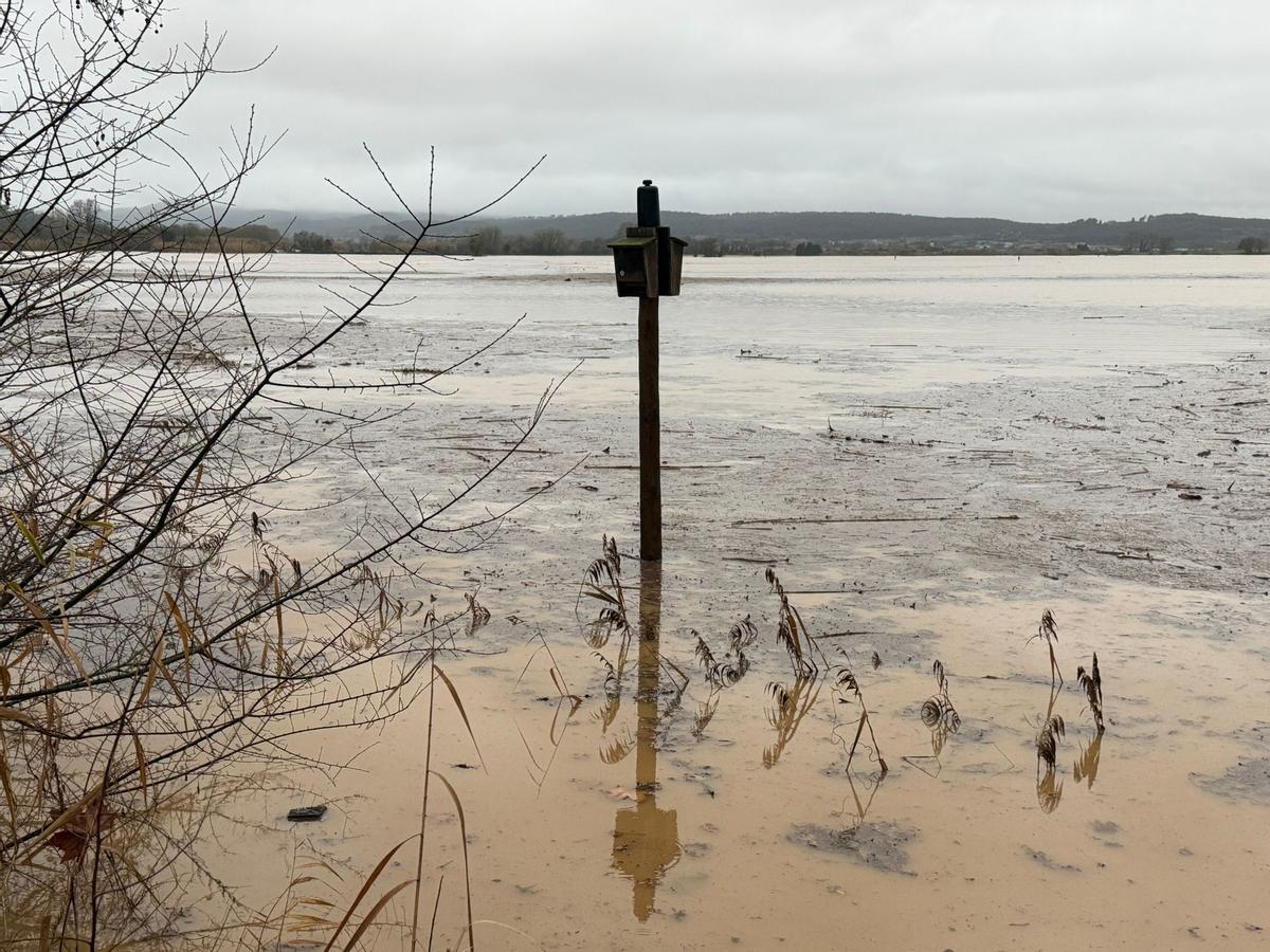 L'estany de Pals inundant.