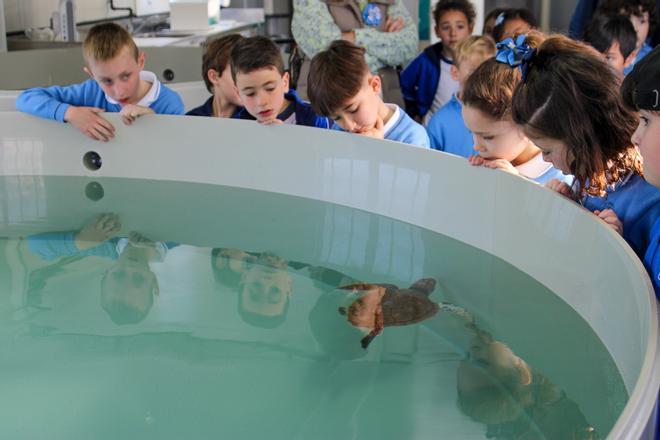 Acuario de Gijón: centro de recuperación de especies