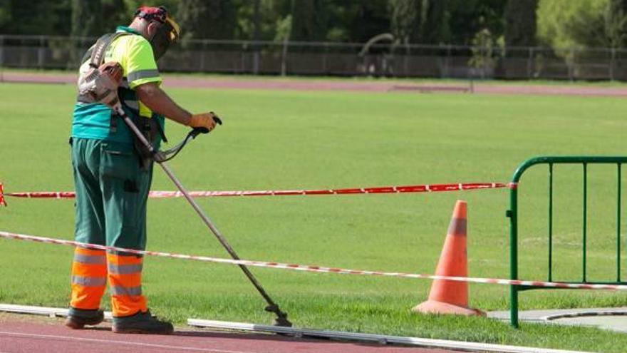 Resiembra del césped del campo de atletismo