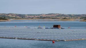 Un parque fotovoltaico flotante, en una imagen de archivo.