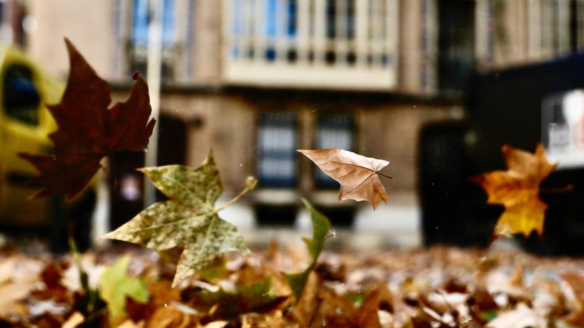 Ni calor ni frío: así se llama en Mallorca ese tiempo en el que no sabes qué ponerte