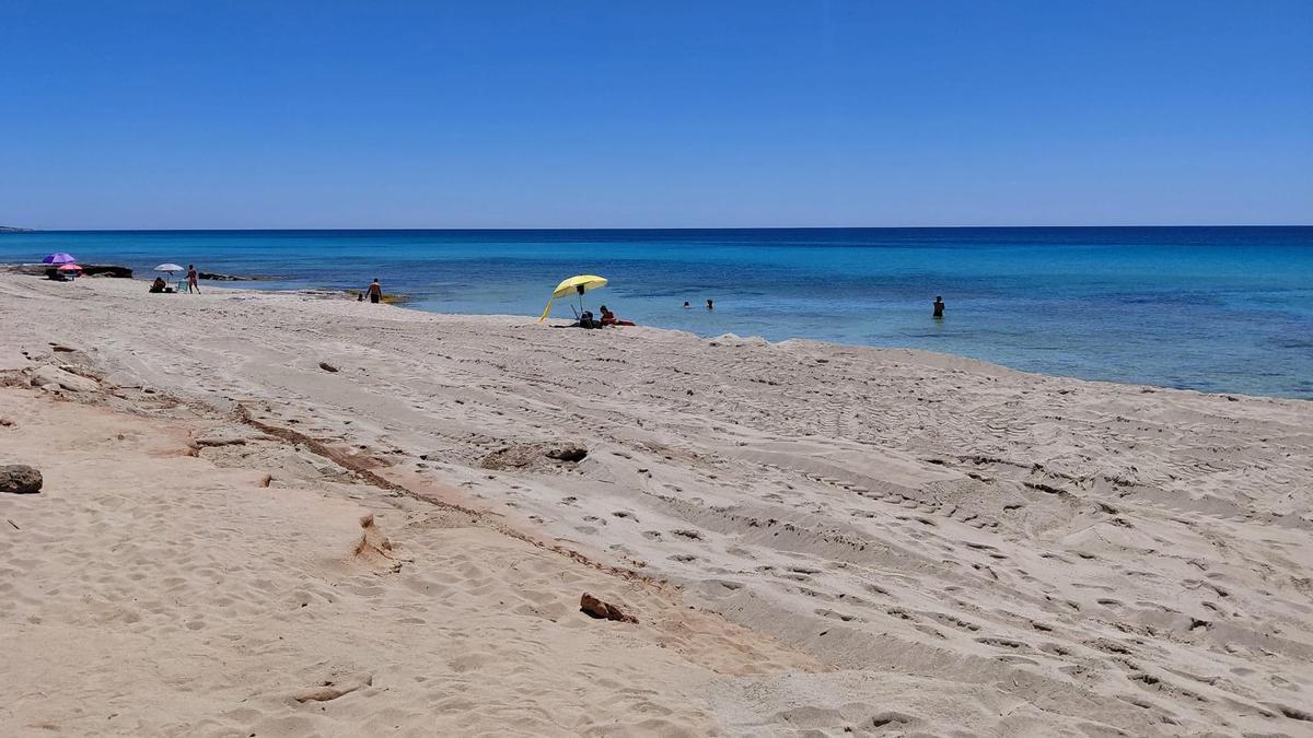 Tramo de la playa de Migjorn sin hamacas ni sombrillas a principio de la temporada.