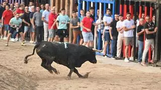 La lluvia da paso a una jornada festiva plena e intensa en Nules