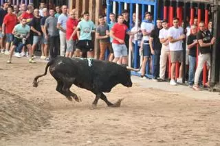 Gran ambiente en la primera jornada taurina en las fiestas patronales de la Soledat de Nules