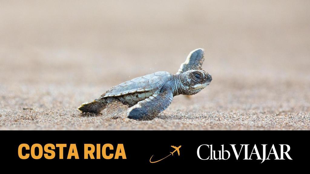 Descubre junto a Club VIAJAR la naturaleza más pura