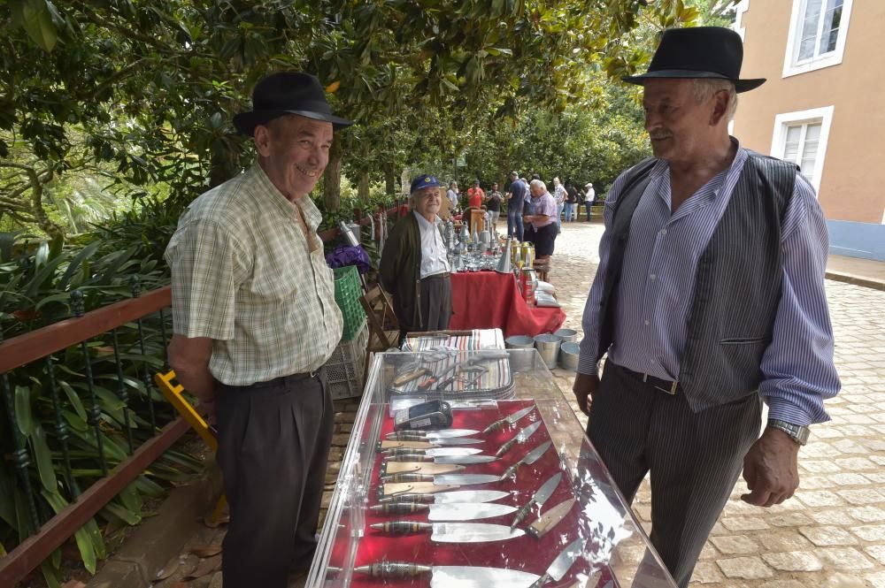 Feria de ganado