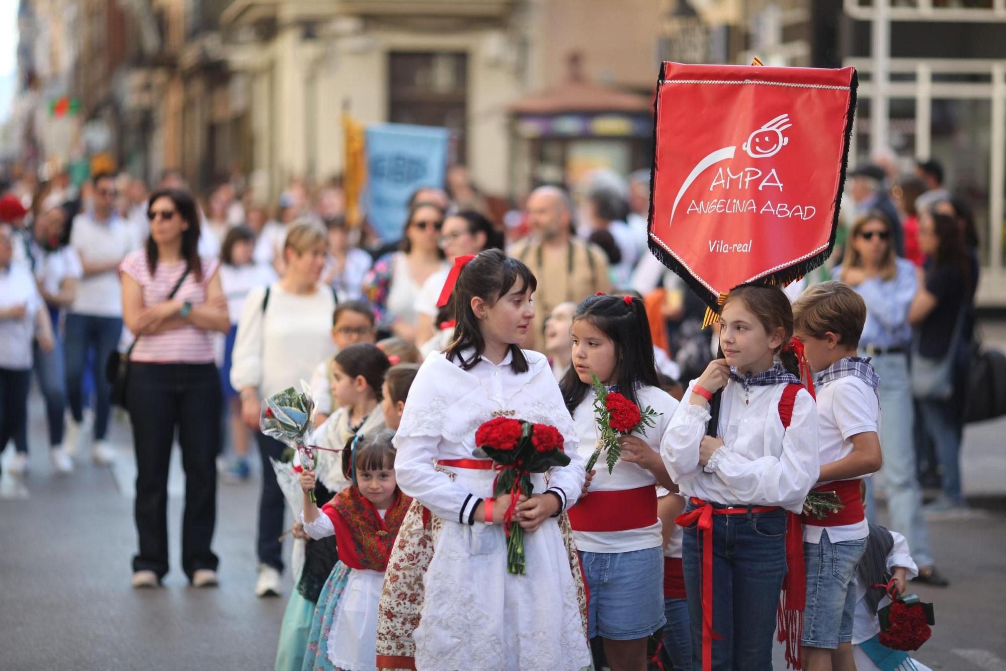 Galeria de fotos de l'ofrena de flors a Sant Pasqual en Vila-real