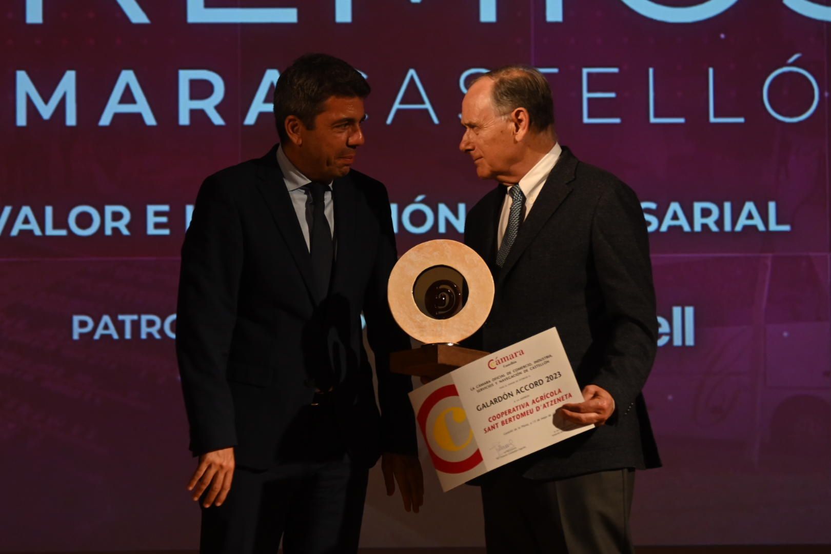 Galería: Entrega de los Premios de Cámara