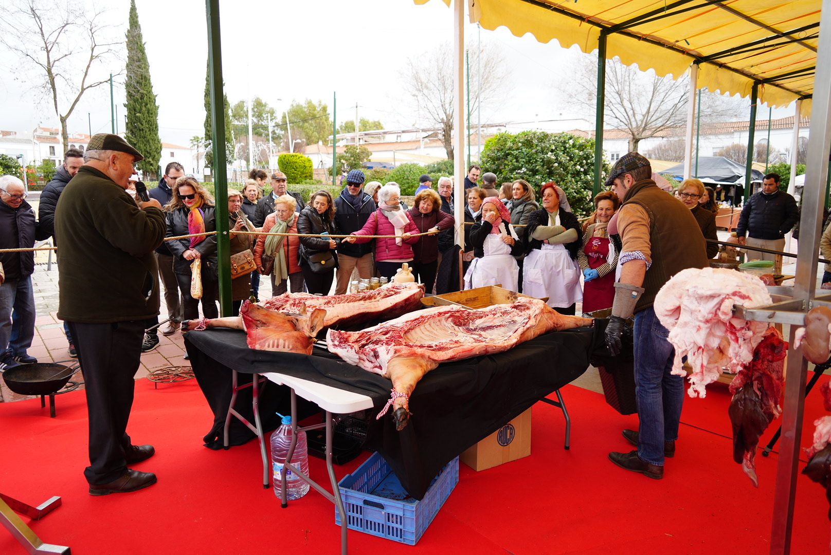 La Fiesta de la Matanza de Villanueva de Córdoba, en imágenes