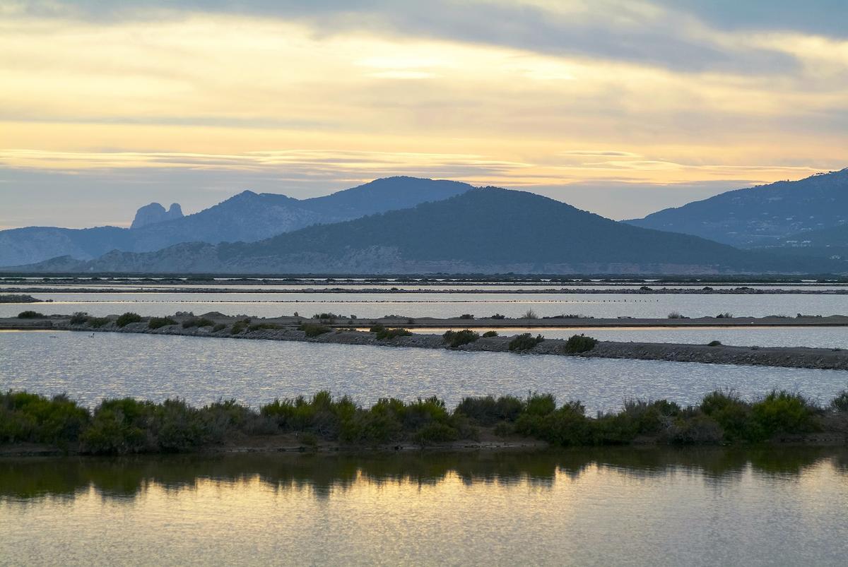 ses Salines