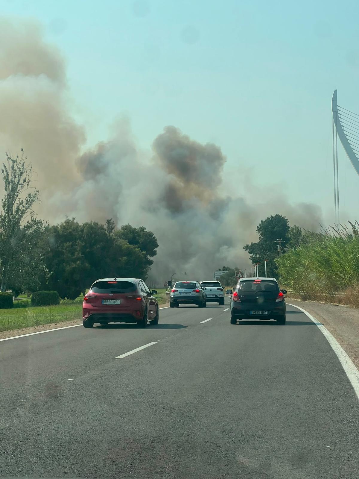 Un aparatoso incendio junto al Oceanogràfic y la autovía del Saler obliga a cortar el tráfico de entrada y salida a la ciudad
