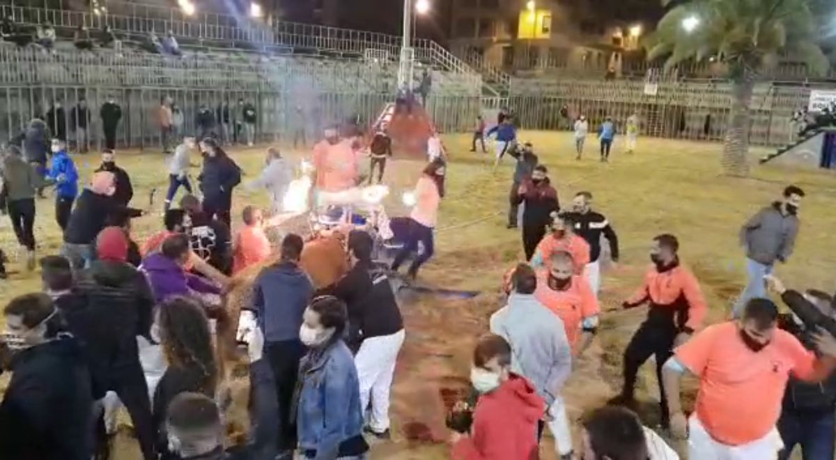 Polémica por la celebración del 'bou embolat' en Vila-real