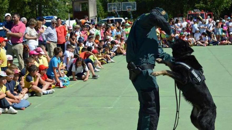 Un agente con uno de los perros detectores de explosivos y drogras, ayer en Mos. // D. P.