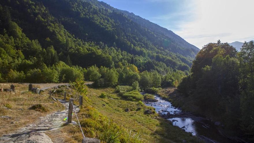 El canvi climàtic posa el Pirineu al límit: com està canviant la vida a l’alta muntanya?
