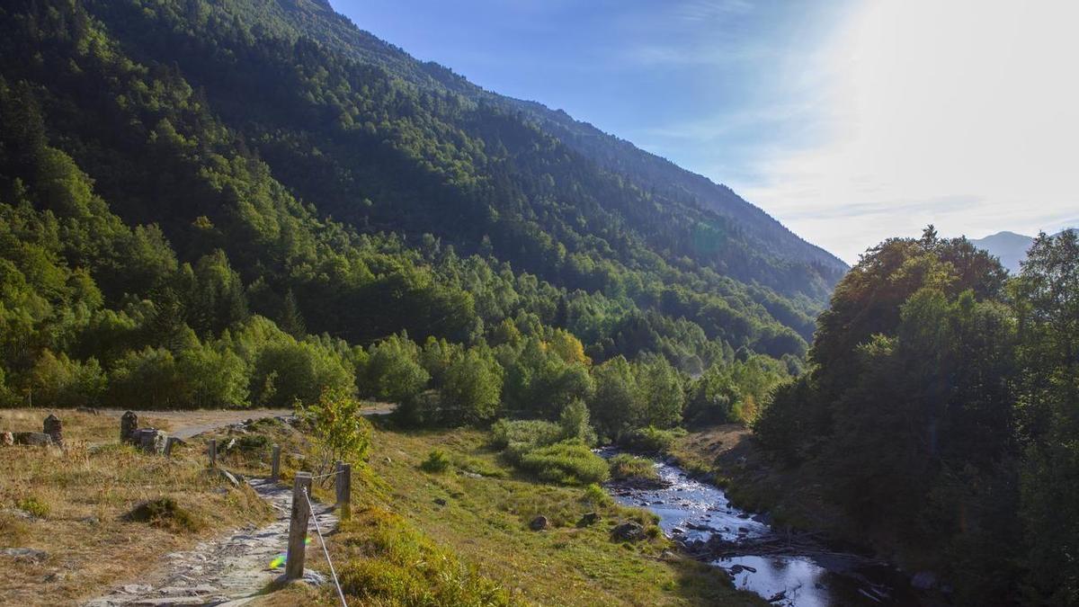 El canvi climàtic està afectant greument la biodiversitat del Pirineu.