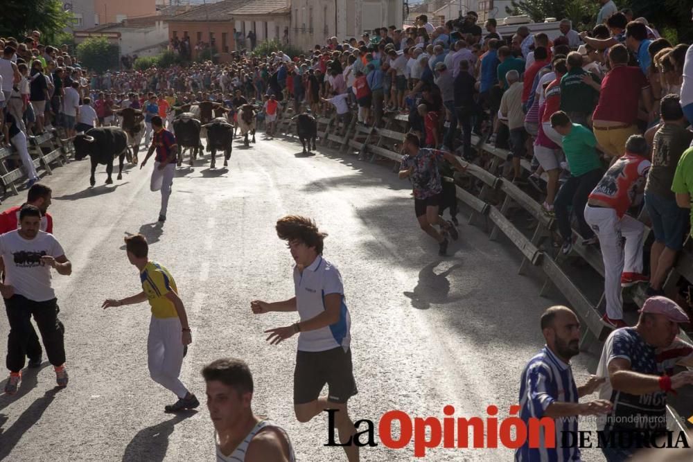 Segundo encierro de Calasparra