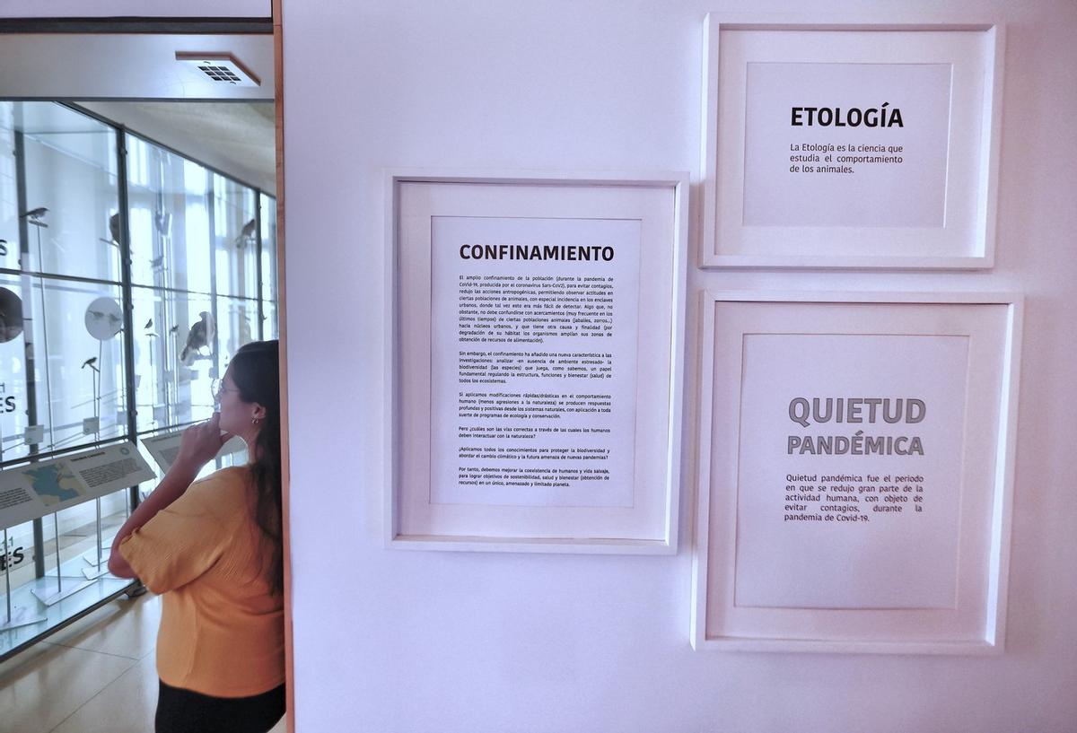 Exposición 'Etología en la quietud'