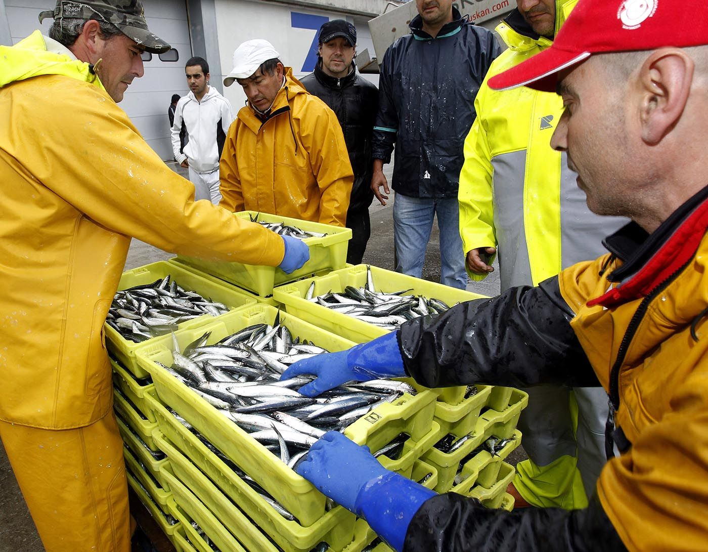 Tripulantes de un pesquero con cajas recién desembarcadas de anchoas.