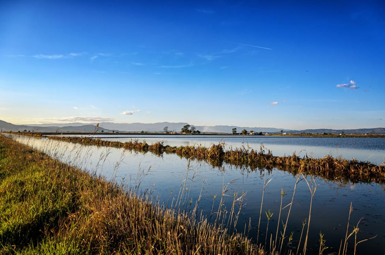 El Delta del Ebro