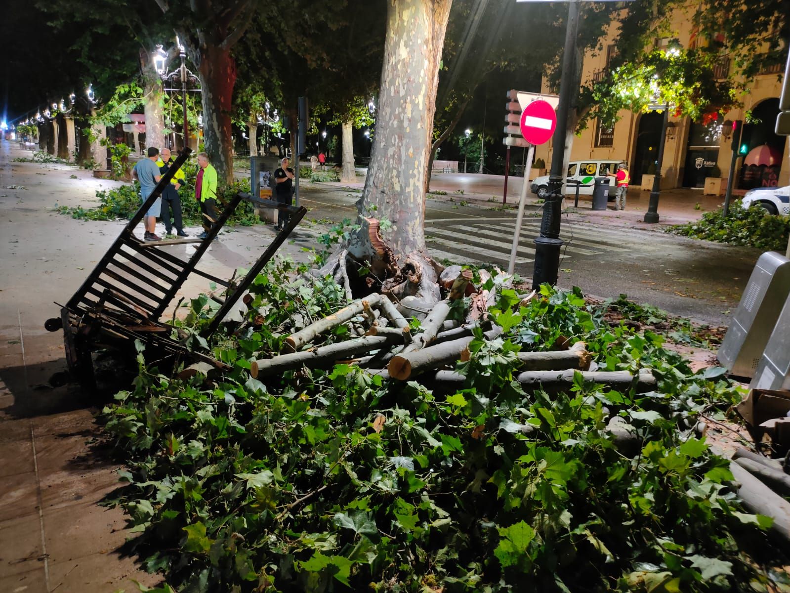 Destrozos en l'Albereda de Xàtiva por la tormenta