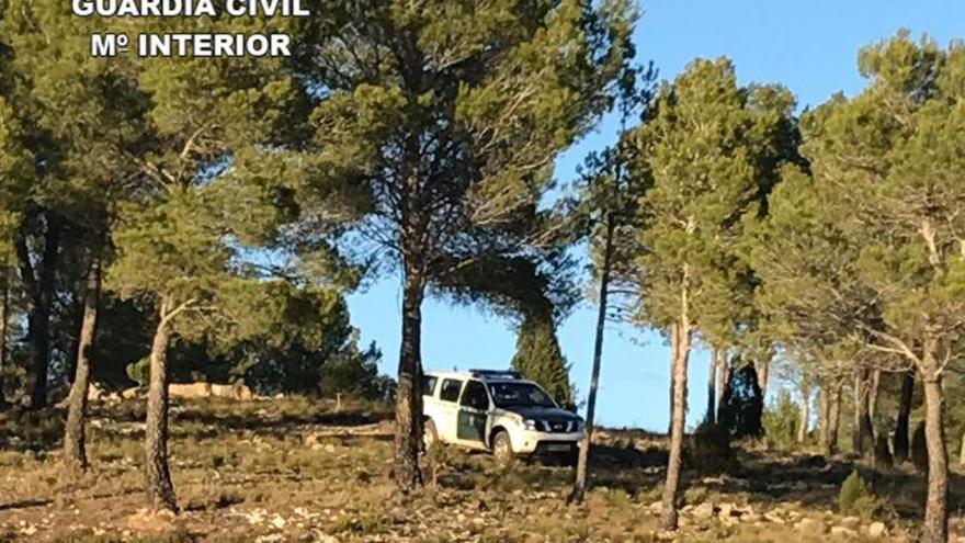 La Guardia Civil localiza a cuatro personas extraviadas cuando recolectaban setas en Valdelinares y Puertomingalvo